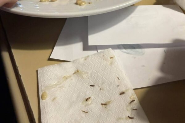 Скандал във Варна: ларви в храна и спорна реакция на персонала