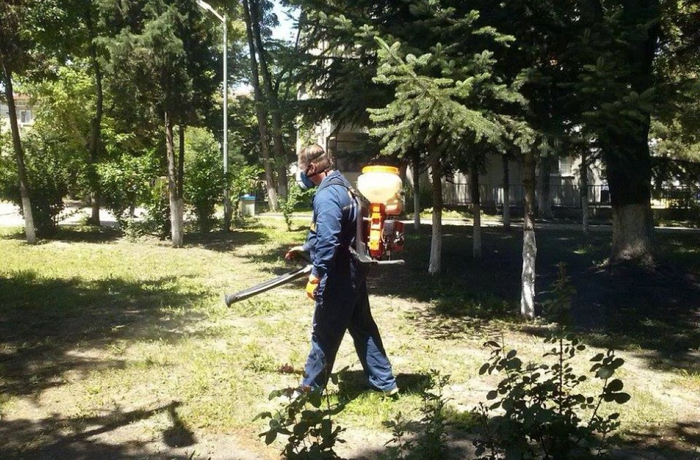 Обработват паркове и дворове срещу кърлежи във Варна до края на май