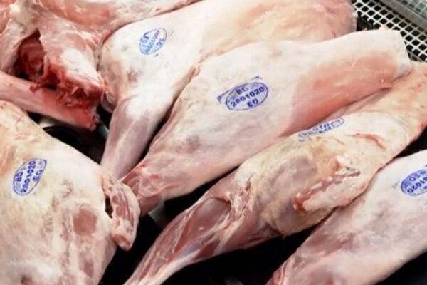 БАБХ предупреждава: внимавайте при покупка на агнешко за празниците