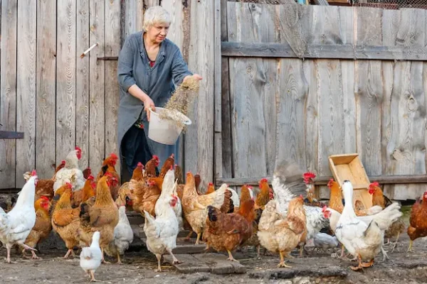 ДФЗ разпределя нов пакет средства за селското стопанство