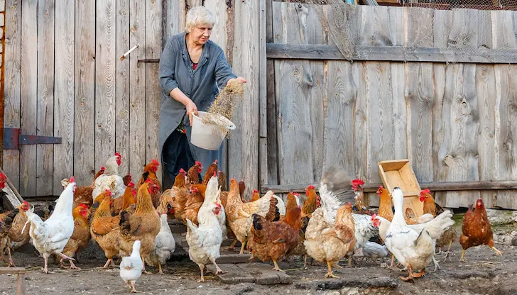 ДФЗ разпределя нов пакет средства за селското стопанство