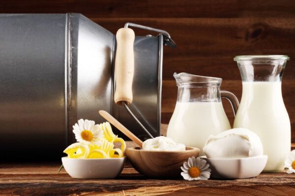 Пазарът под натиск: БАБХ въвежда масови проверки на вносни млечни продукти