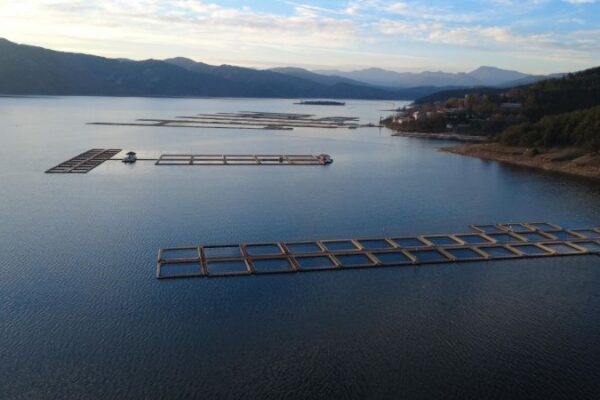 Въвеждат сезонна забрана за улов на риба в страната