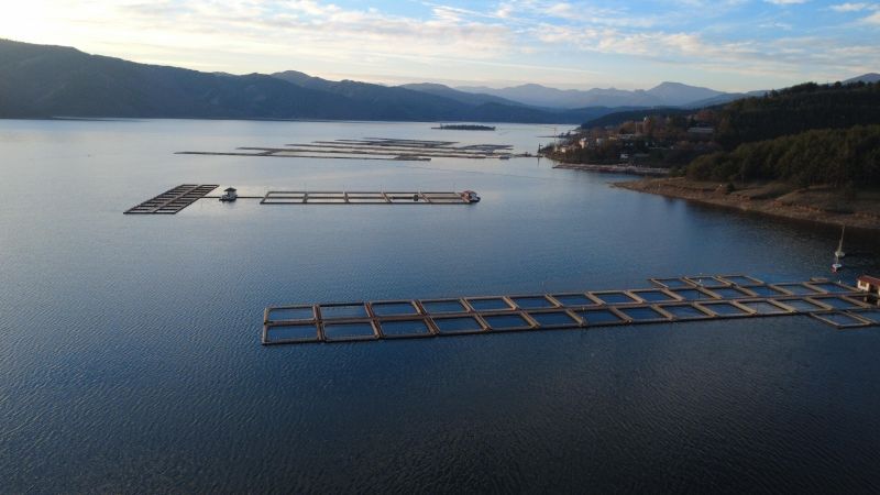 Въвеждат сезонна забрана за улов на риба в страната