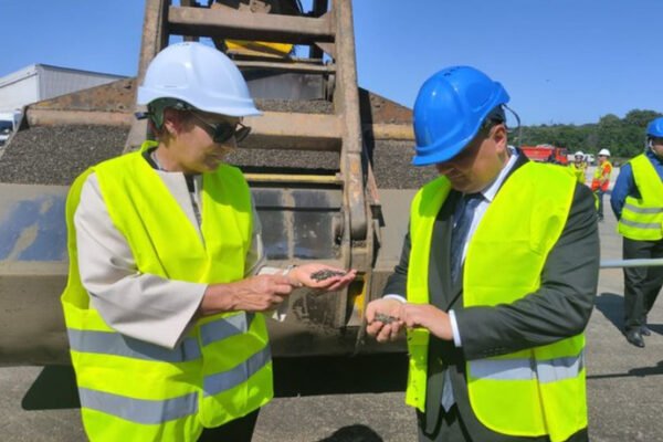 Проби от аржентински слънчоглед отново показаха несъответствие с европейските норми
