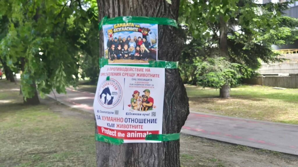 Варна се включи в натиска за по-строг контрол при защита на животните