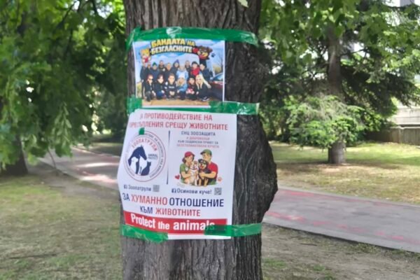 Варна се включи в натиска за по-строг контрол при защита на животните