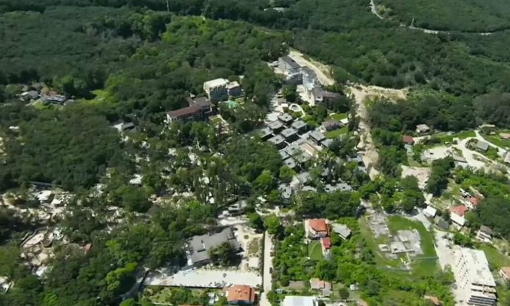РДГ – Варна е наложила глоби за 15 000 лева за незаконна сеч в „Баба Алино“