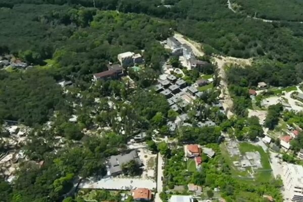 РДГ – Варна е наложила глоби за 15 000 лева за незаконна сеч в „Баба Алино“