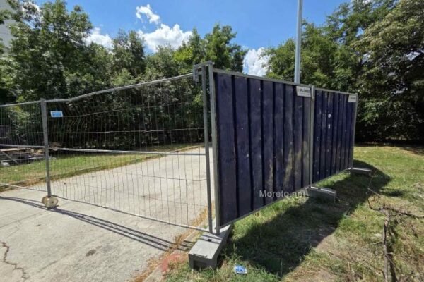 След протестите: Кметът на Варна спира изсичането на дърветата в „Чайка“.
