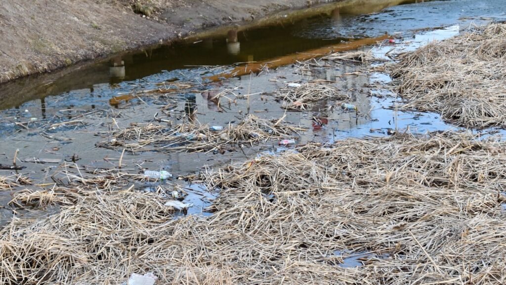 Водна криза в руския град Тюмен поражда опасения за общественото здраве