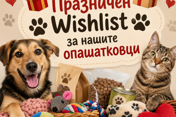 Animal Hope Varna събира помощ за кучета и котки вместо празнични подаръци