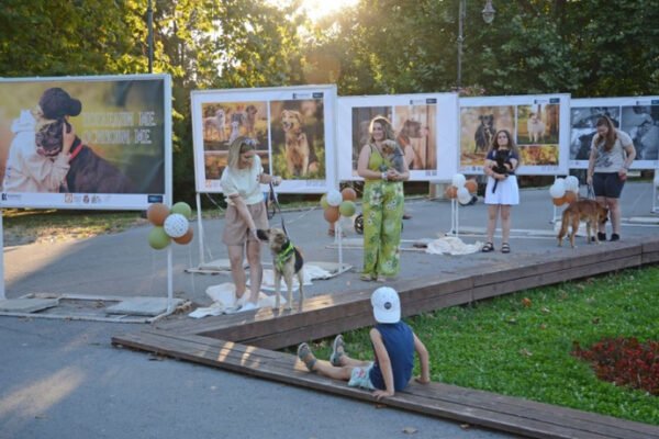 Варна откри фотоизложба в подкрепа на осиновяването на кучета