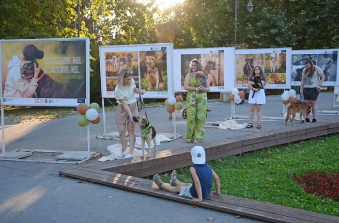 Варна откри фотоизложба в подкрепа на осиновяването на кучета 
