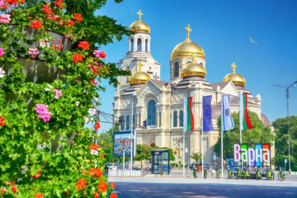 Клони и храсти пречат на шофьори и пешеходци по улиците на Варна.