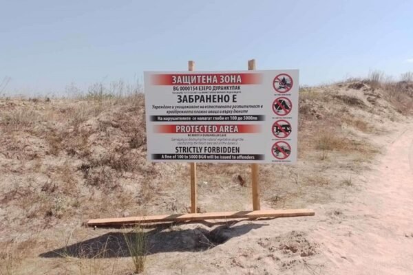 Издирват собственици на коли, паркирали в защитени територии